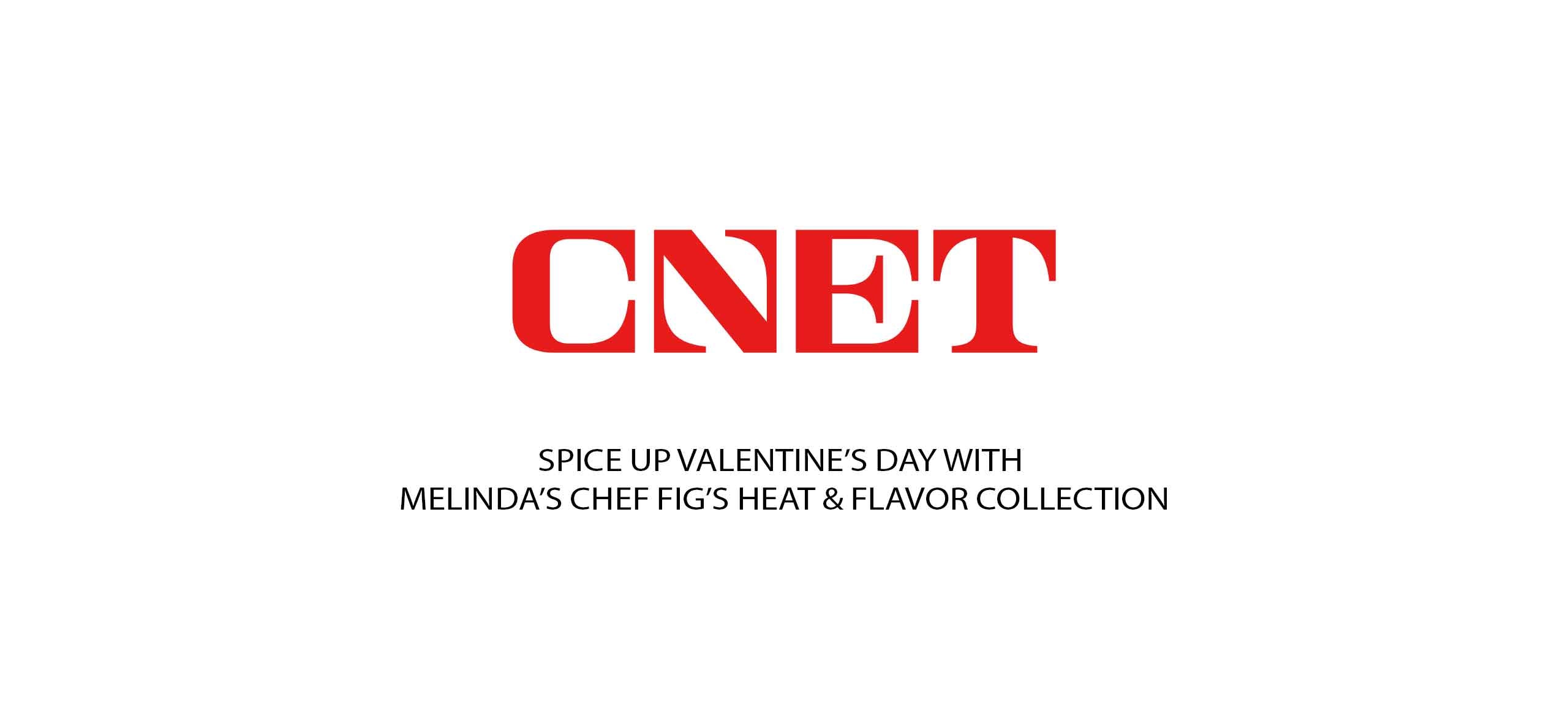 CNET logo with text 